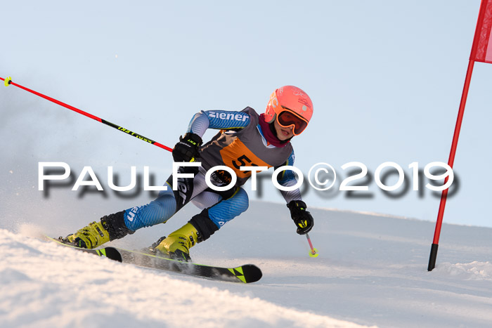 Ziener Kids Cross U12 + 5. Reischmann Cup