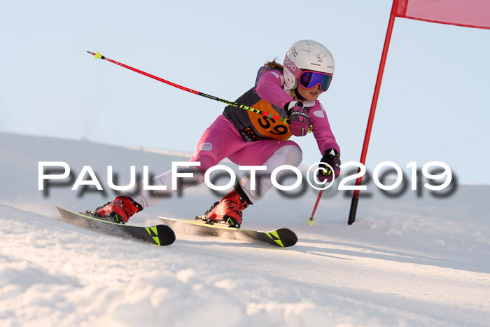 Ziener Kids Cross U12 + 5. Reischmann Cup