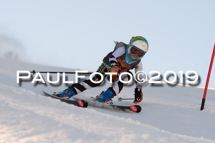 Ziener Kids Cross U12 + 5. Reischmann Cup