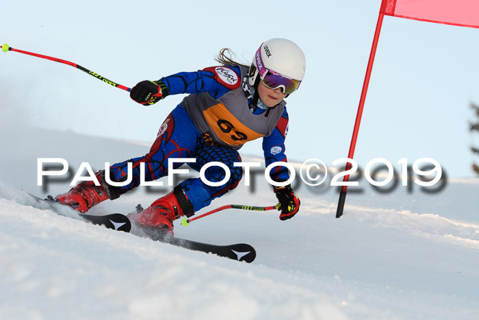 Ziener Kids Cross U12 + 5. Reischmann Cup