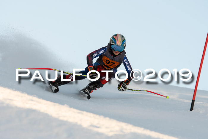 Ziener Kids Cross U12 + 5. Reischmann Cup