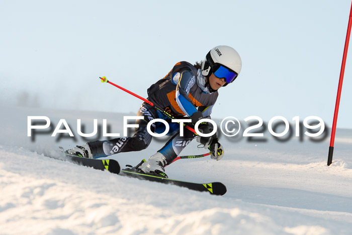 Ziener Kids Cross U12 + 5. Reischmann Cup