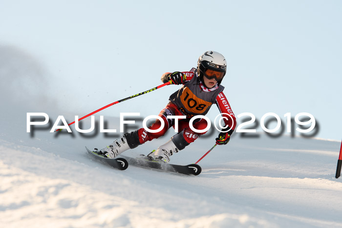 Ziener Kids Cross U12 + 5. Reischmann Cup