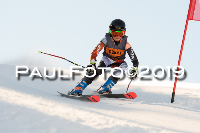 Ziener Kids Cross U12 + 5. Reischmann Cup