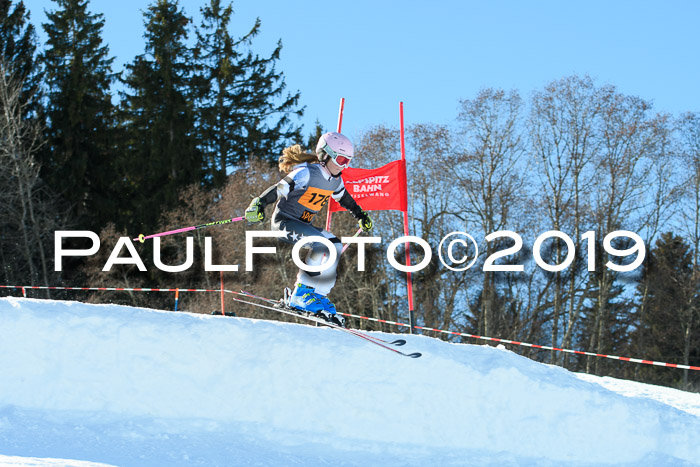 Ziener Kids Cross U12 + 5. Reischmann Cup