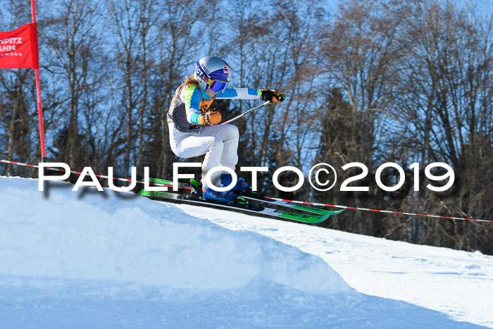 Ziener Kids Cross U12 + 5. Reischmann Cup