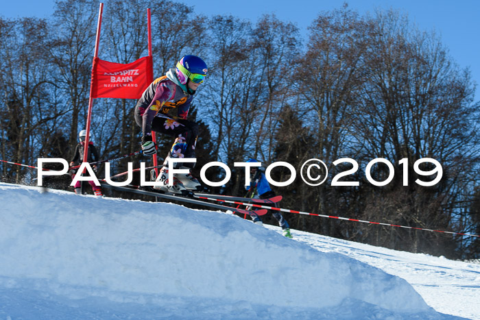 Ziener Kids Cross U12 + 5. Reischmann Cup