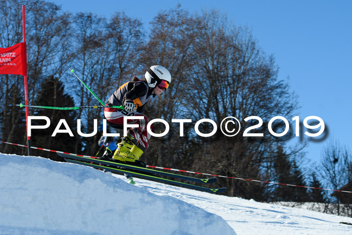 Ziener Kids Cross U12 + 5. Reischmann Cup