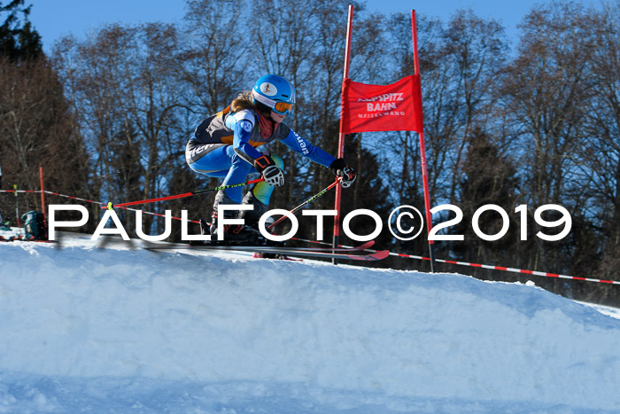 Ziener Kids Cross U12 + 5. Reischmann Cup