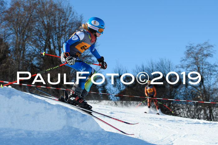 Ziener Kids Cross U12 + 5. Reischmann Cup
