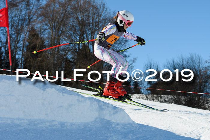 Ziener Kids Cross U12 + 5. Reischmann Cup