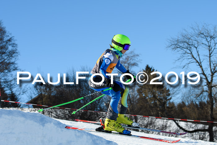 Ziener Kids Cross U12 + 5. Reischmann Cup