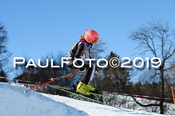 Ziener Kids Cross U12 + 5. Reischmann Cup
