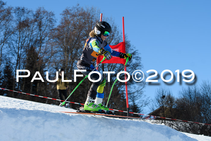 Ziener Kids Cross U12 + 5. Reischmann Cup
