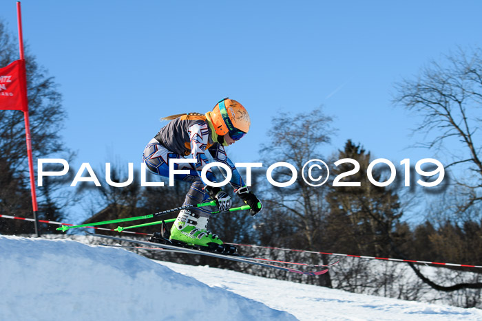 Ziener Kids Cross U12 + 5. Reischmann Cup