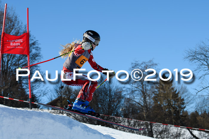 Ziener Kids Cross U12 + 5. Reischmann Cup