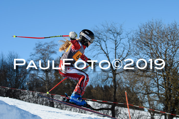 Ziener Kids Cross U12 + 5. Reischmann Cup