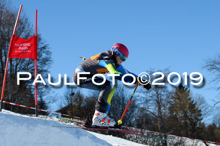 Ziener Kids Cross U12 + 5. Reischmann Cup