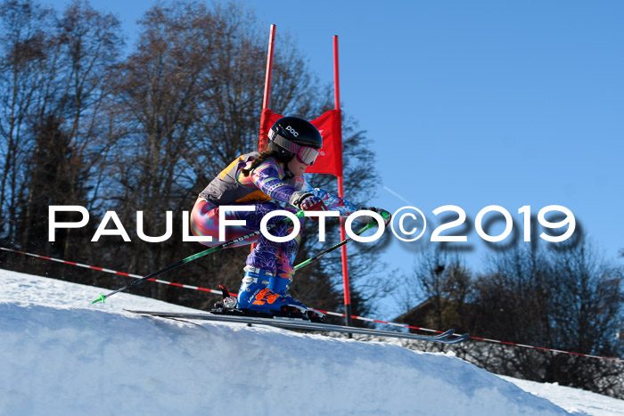 Ziener Kids Cross U12 + 5. Reischmann Cup