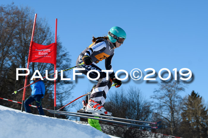 Ziener Kids Cross U12 + 5. Reischmann Cup