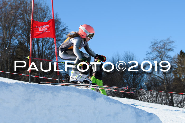 Ziener Kids Cross U12 + 5. Reischmann Cup