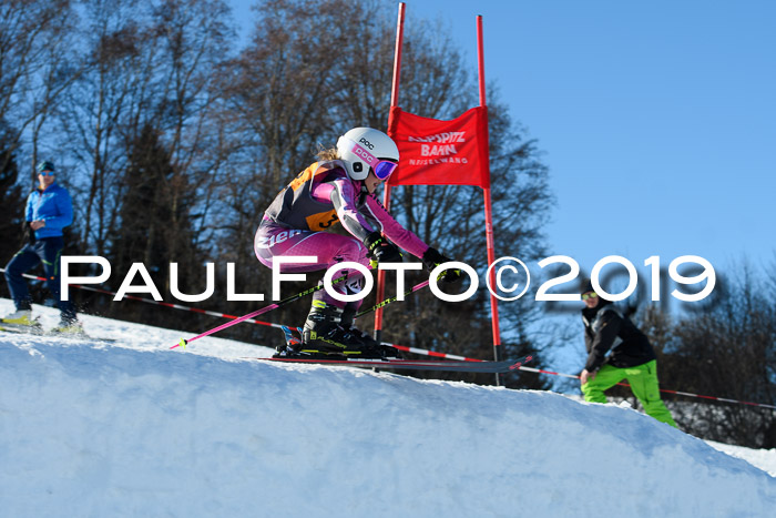 Ziener Kids Cross U12 + 5. Reischmann Cup