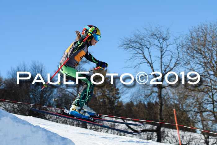 Ziener Kids Cross U12 + 5. Reischmann Cup