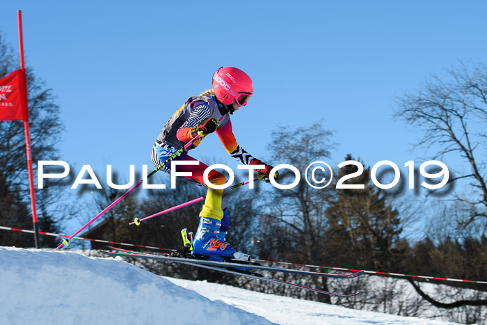 Ziener Kids Cross U12 + 5. Reischmann Cup