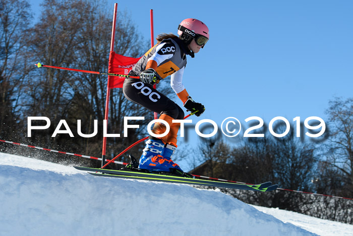 Ziener Kids Cross U12 + 5. Reischmann Cup