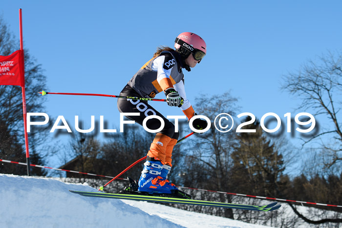 Ziener Kids Cross U12 + 5. Reischmann Cup
