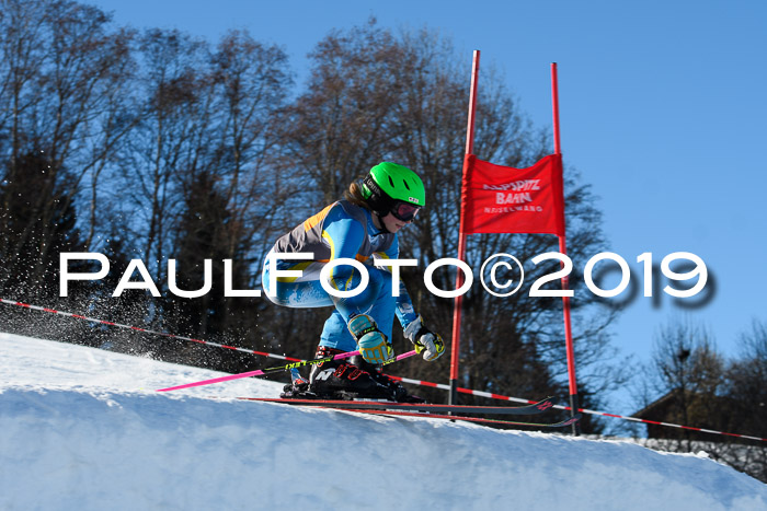 Ziener Kids Cross U12 + 5. Reischmann Cup
