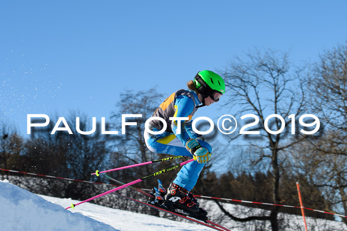 Ziener Kids Cross U12 + 5. Reischmann Cup