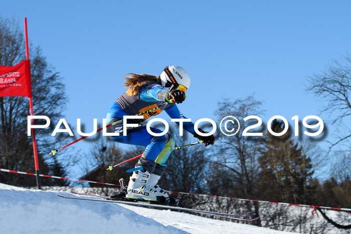 Ziener Kids Cross U12 + 5. Reischmann Cup