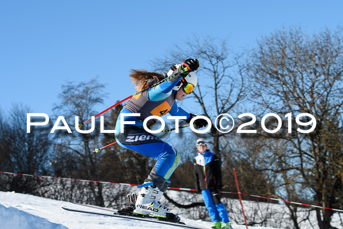 Ziener Kids Cross U12 + 5. Reischmann Cup