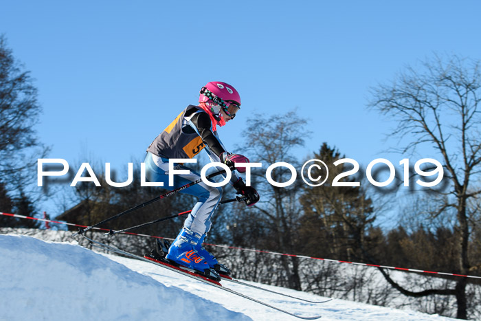 Ziener Kids Cross U12 + 5. Reischmann Cup