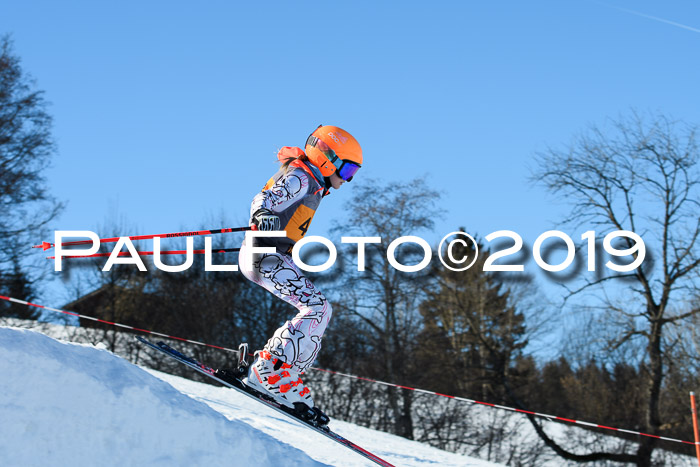 Ziener Kids Cross U12 + 5. Reischmann Cup