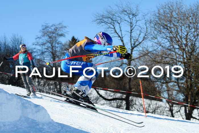 Ziener Kids Cross U12 + 5. Reischmann Cup
