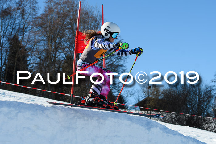Ziener Kids Cross U12 + 5. Reischmann Cup