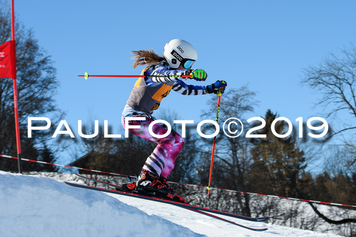 Ziener Kids Cross U12 + 5. Reischmann Cup