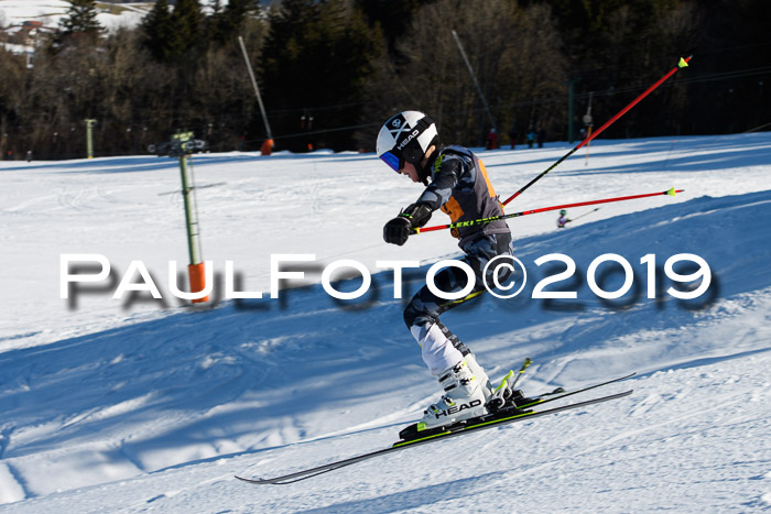Ziener Kids Cross U12 + 5. Reischmann Cup