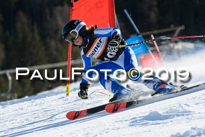 Ziener Kids-Cross M/OL U12 Race Cross III + II