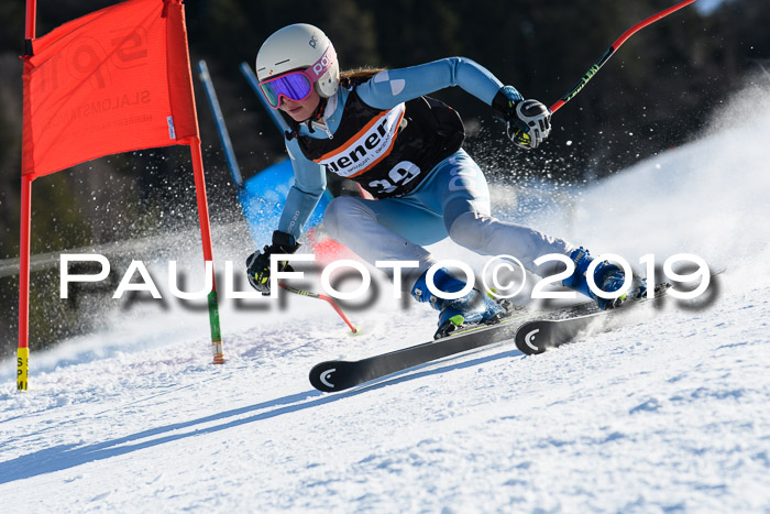Ziener Kids-Cross M/OL U12 Race Cross III + II