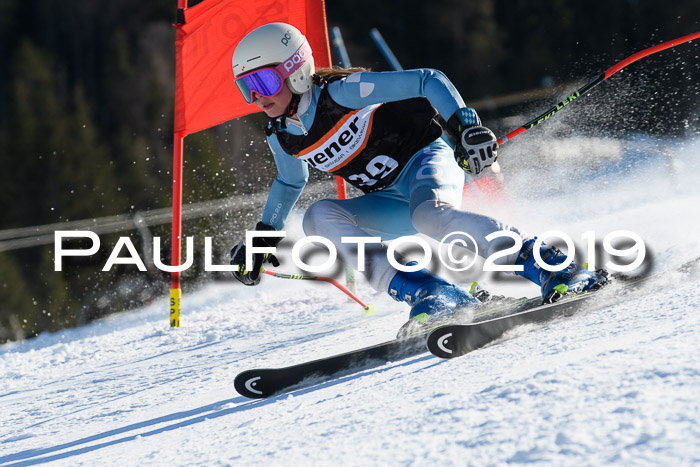 Ziener Kids-Cross M/OL U12 Race Cross III + II