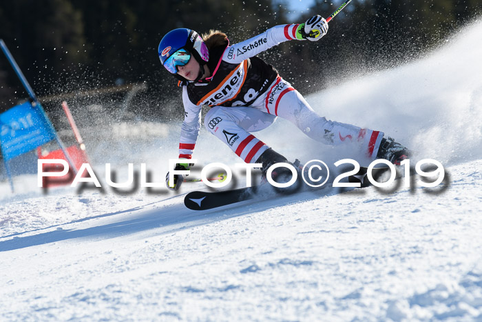 Ziener Kids-Cross M/OL U12 Race Cross III + II