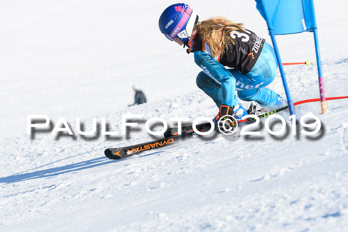 Ziener Kids-Cross M/OL U12 Race Cross III + II