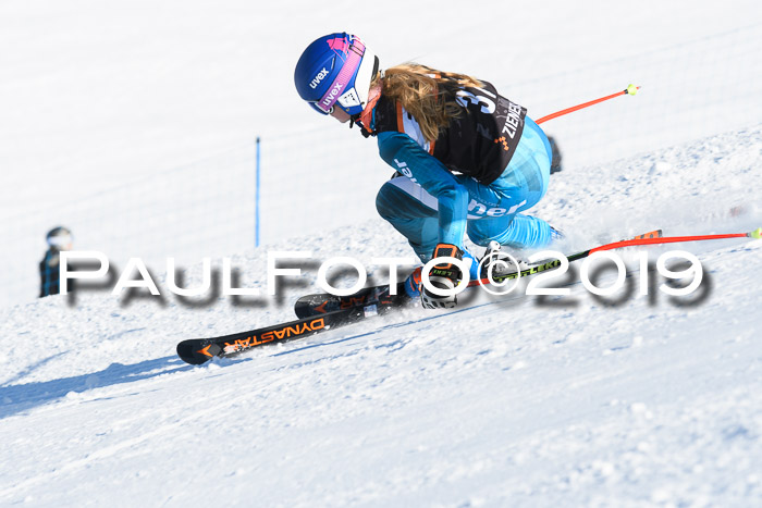 Ziener Kids-Cross M/OL U12 Race Cross III + II