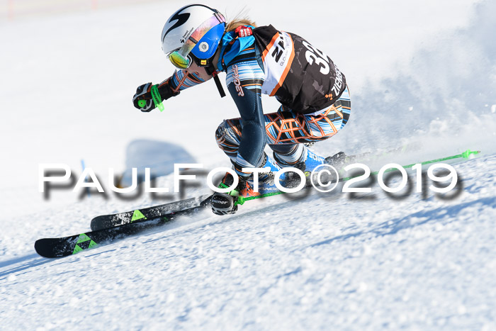 Ziener Kids-Cross M/OL U12 Race Cross III + II