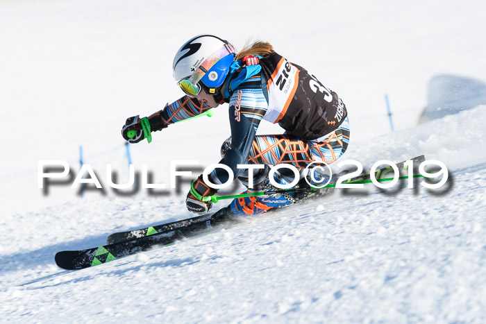 Ziener Kids-Cross M/OL U12 Race Cross III + II