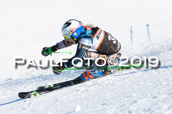 Ziener Kids-Cross M/OL U12 Race Cross III + II