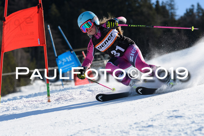 Ziener Kids-Cross M/OL U12 Race Cross III + II